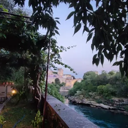 Smokva * Μόσταρ