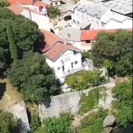 Smokva * Μόσταρ